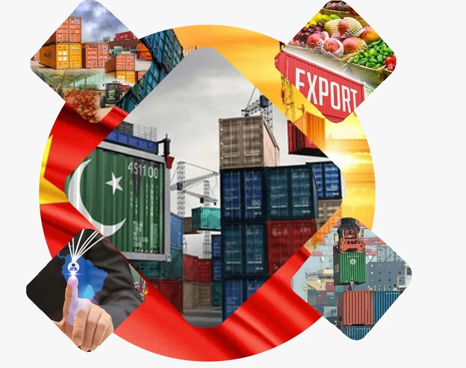 Imports & Exports Services